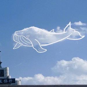 美女裸体扣阴道视频网站
